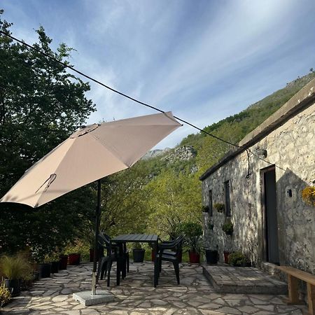 קוטור Nature Escape Montenegro מראה חיצוני תמונה