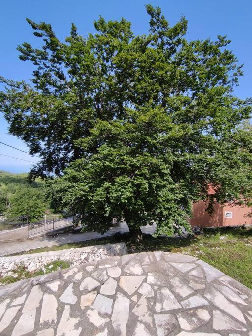קוטור Nature Escape Montenegro מראה חיצוני תמונה