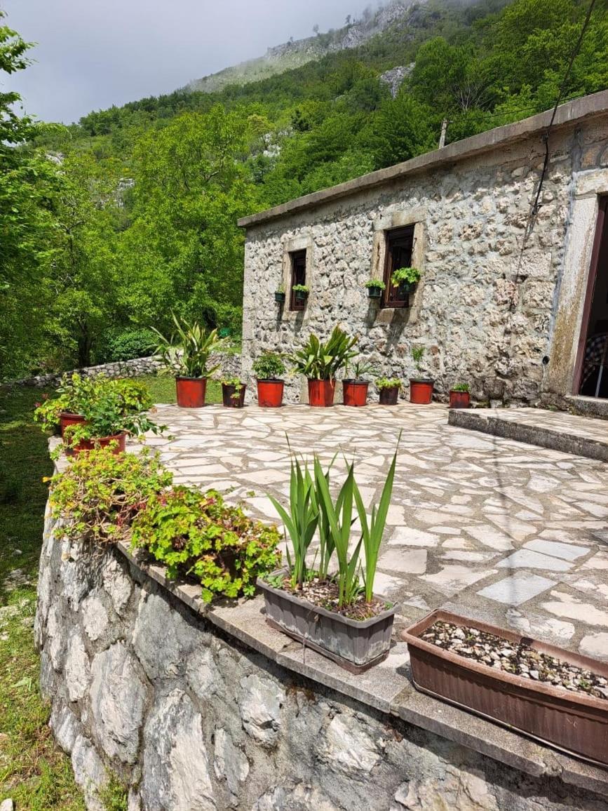 קוטור Nature Escape Montenegro מראה חיצוני תמונה