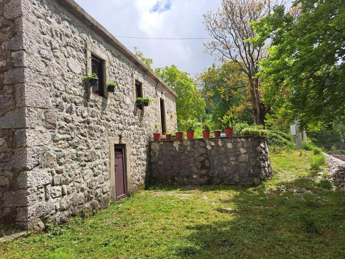 קוטור Nature Escape Montenegro מראה חיצוני תמונה