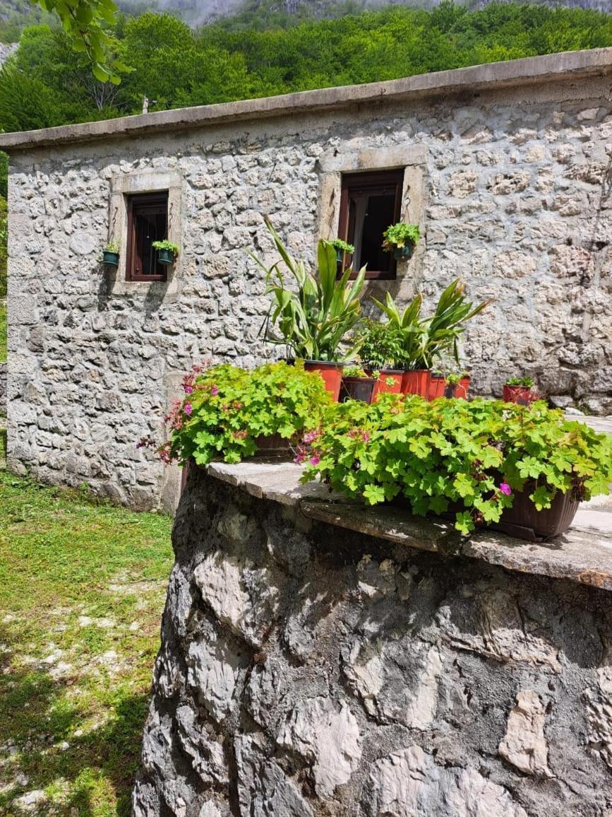 קוטור Nature Escape Montenegro מראה חיצוני תמונה