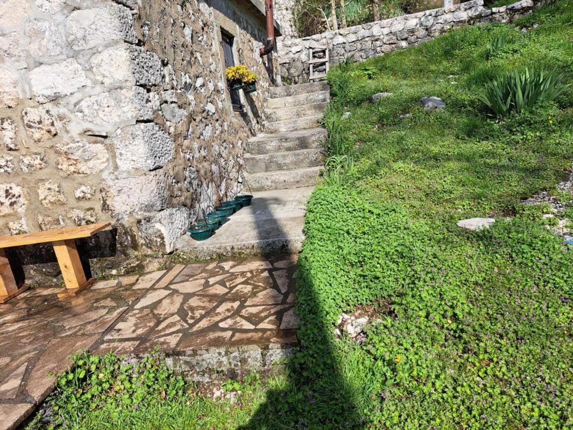 קוטור Nature Escape Montenegro מראה חיצוני תמונה