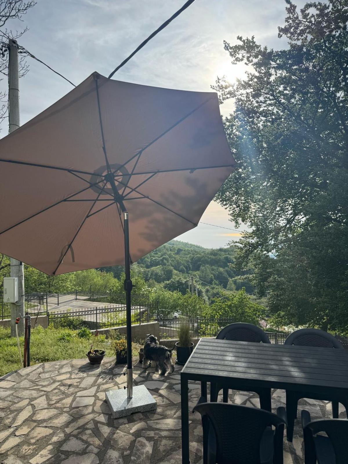 קוטור Nature Escape Montenegro מראה חיצוני תמונה