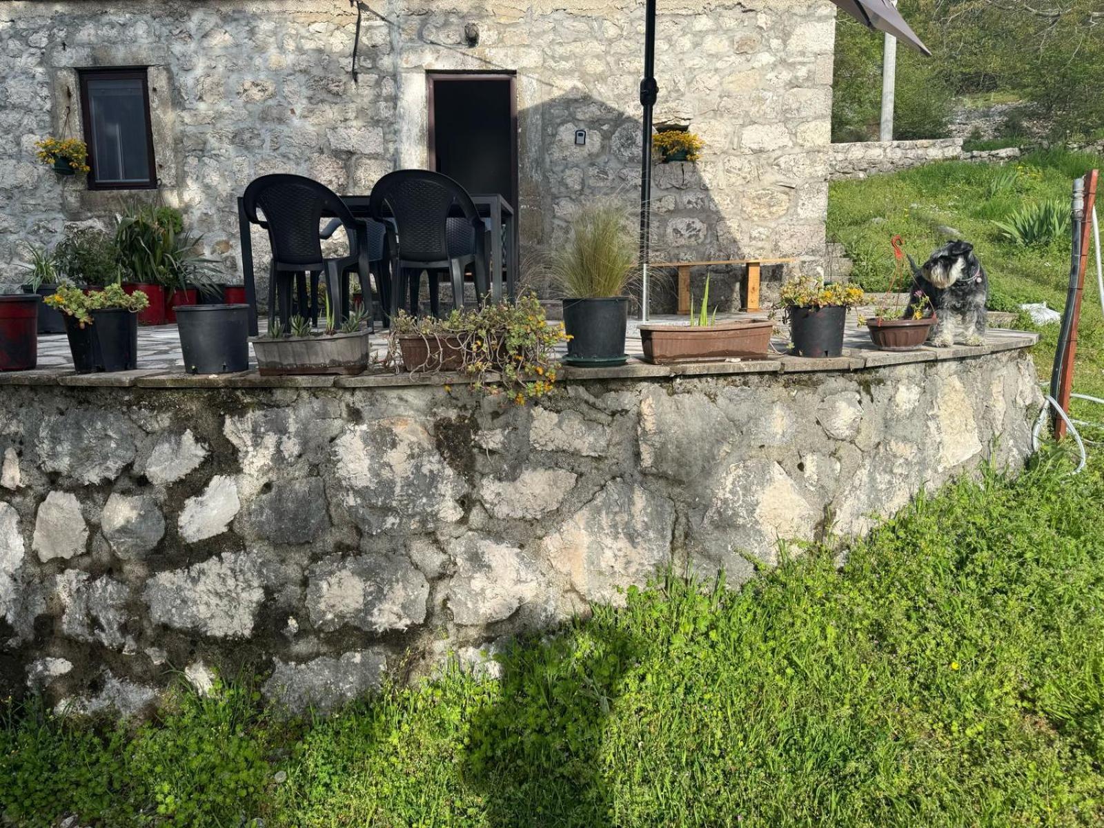 קוטור Nature Escape Montenegro מראה חיצוני תמונה